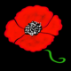 Coquelicot